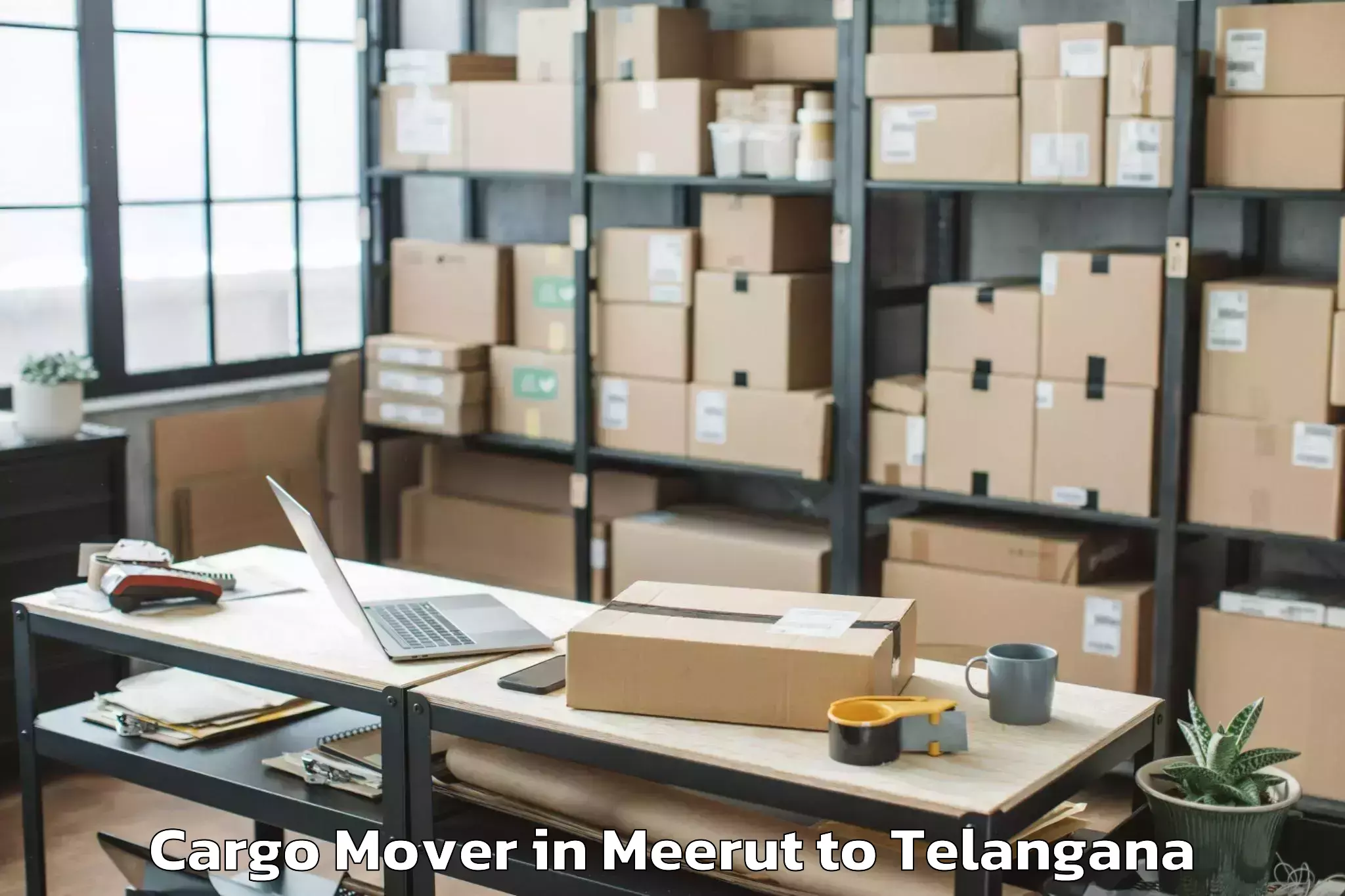 Professional Meerut to Nelakondapalle Cargo Mover